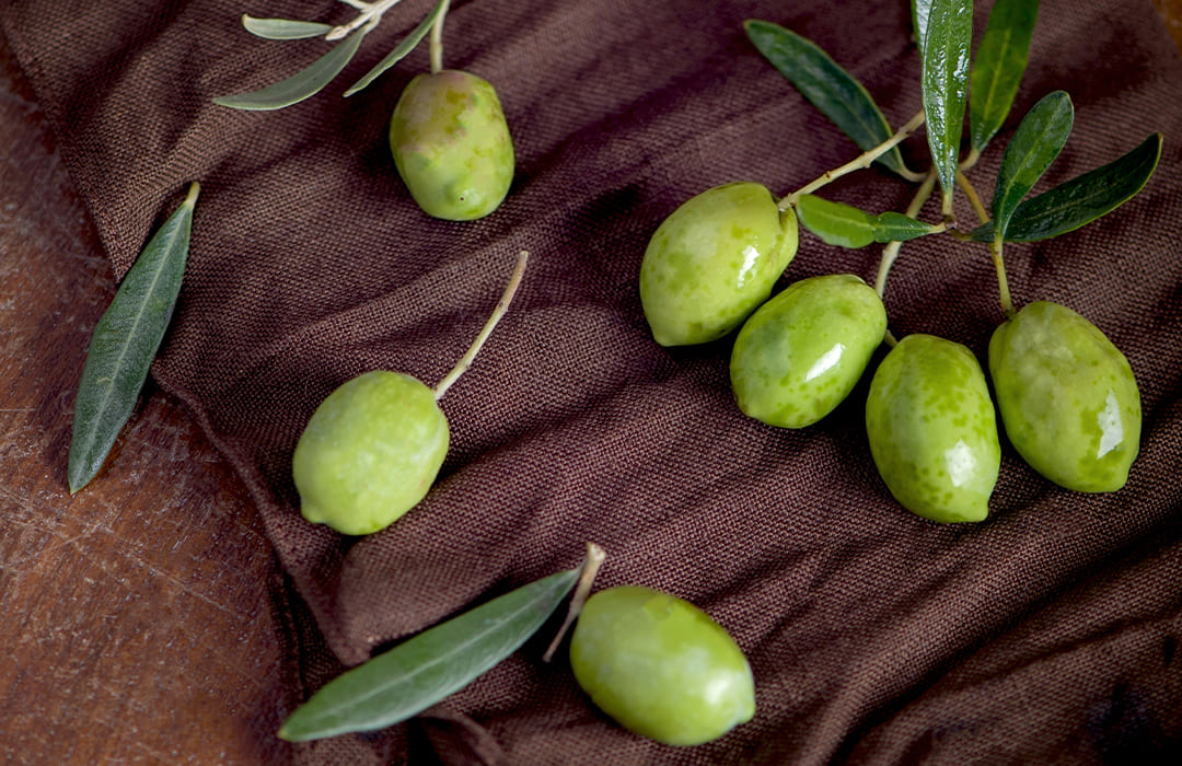 West Minya olive plantation