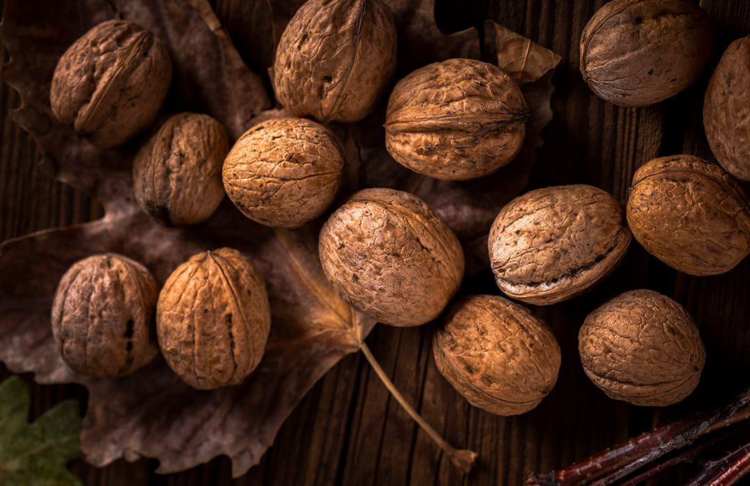 Denizli-Baklan walnut orchard