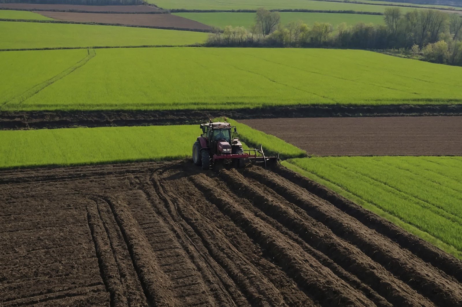 Large-scale agriculture in Egypt