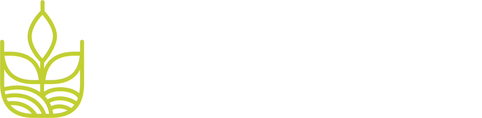 Tom Projects