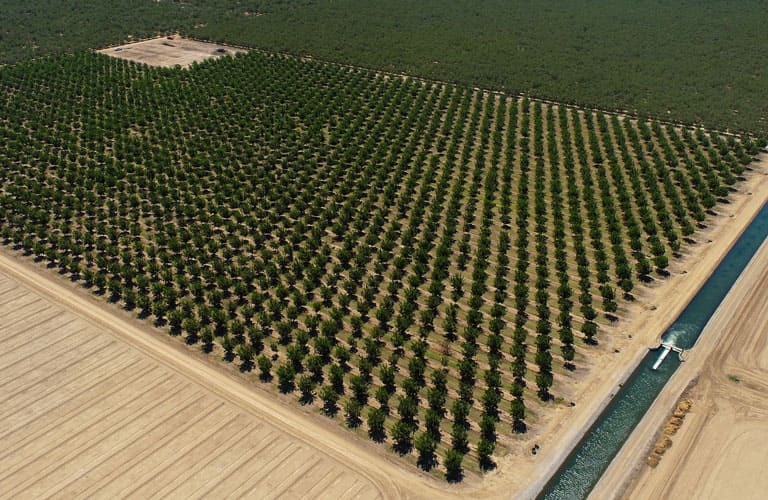 invest in walnut farms in turkey