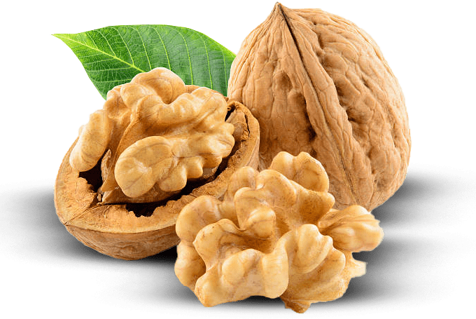 invest in walnut farms in turkey