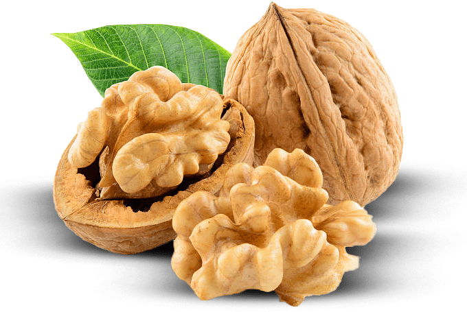 Walnut farmlands investment in turkey