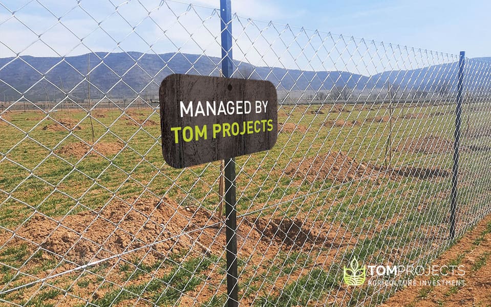 Agriculture land fencing - tom projects agriculture investment