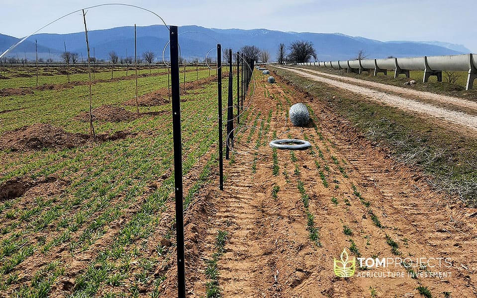 Agriculture land fencing - tom projects agriculture investment