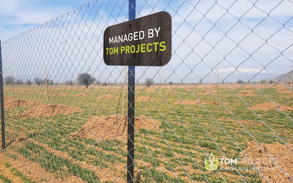 Agriculture land fencing - tom projects agriculture investment