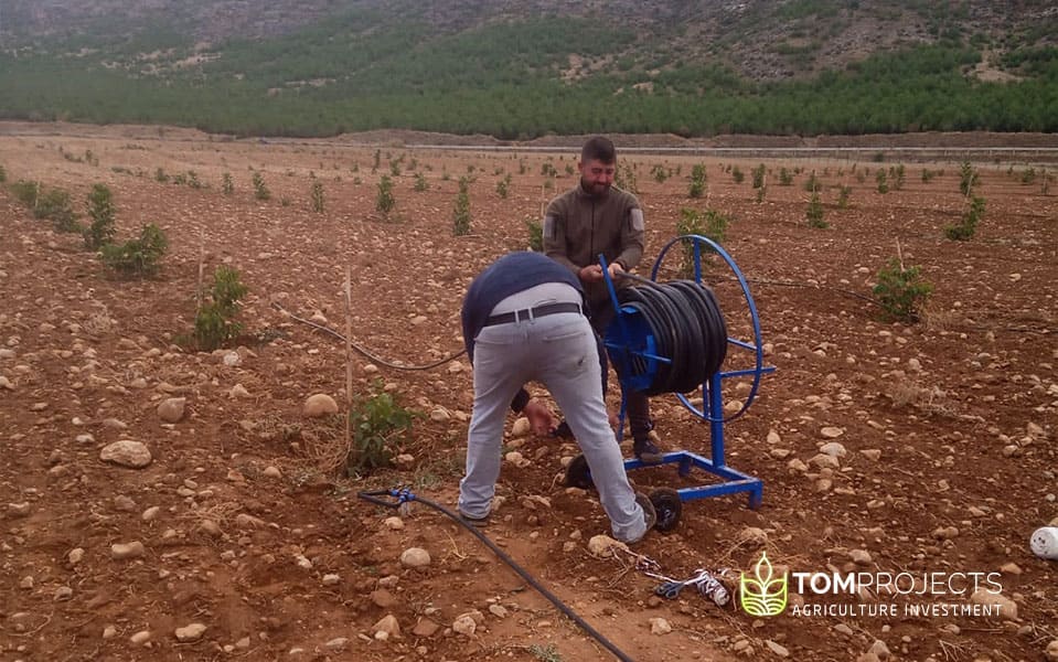 Agriculture land maintenance by tom projects company
