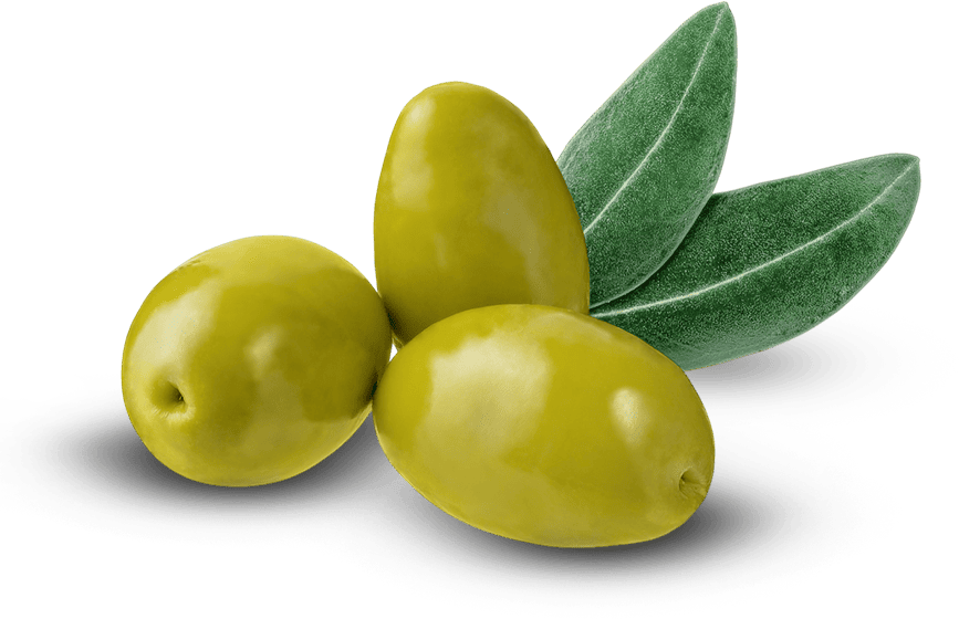 Olive farms investment